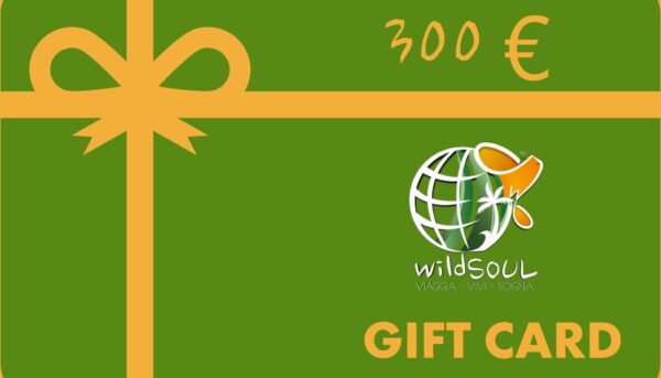 Gift Card 300 €
