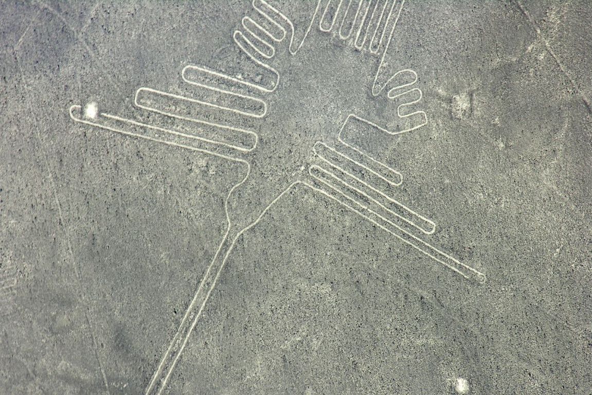 linee di nazca